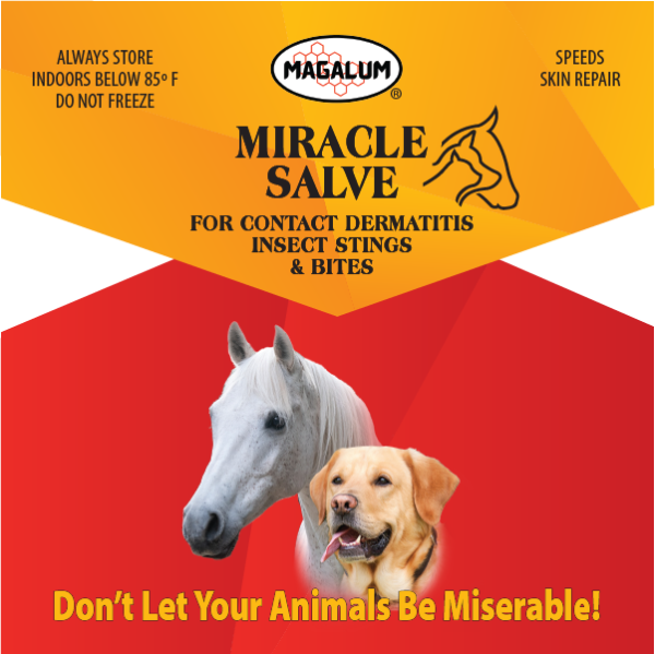 Magalum™ Miracle Salve (Case of 12) - Image 2