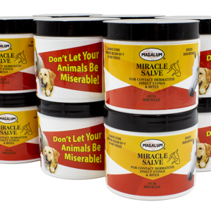 Magalum™ Miracle Salve (Case of 12)