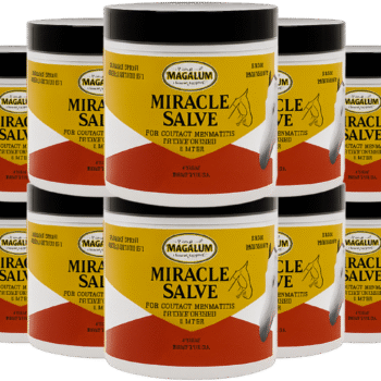 Magalum™ Miracle Salve (Case of 12 – Retail)